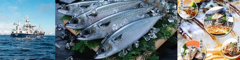 ���Ȃ��A�V�N�A�m���E�F�[�Y�w�����g�����΁x���T�C�g